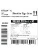 Водонагрівач побутовий електричний Atlantic Steatite Ego Slim 80 (1500W) Steatite Ego Slim зображення 1
